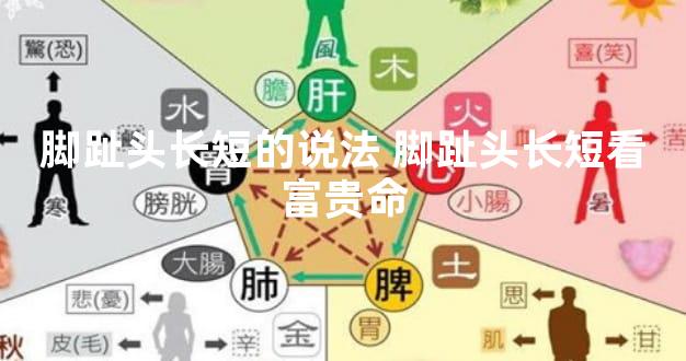 脚趾头长短的说法 脚趾头长短看富贵命